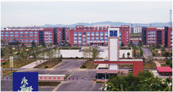 190225-3.jpg 190225-3.jpg