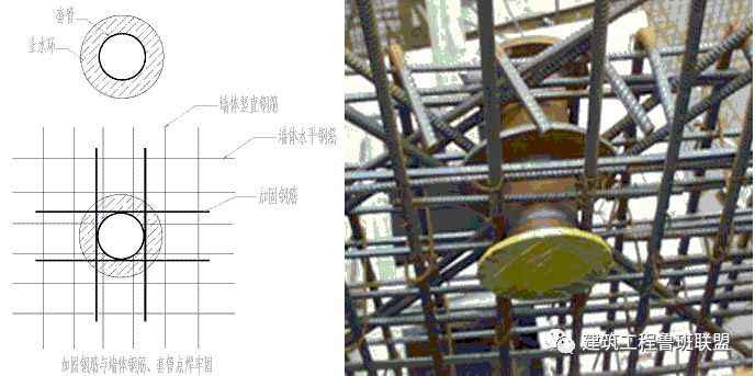 0303-5.jpg 0303-5.jpg